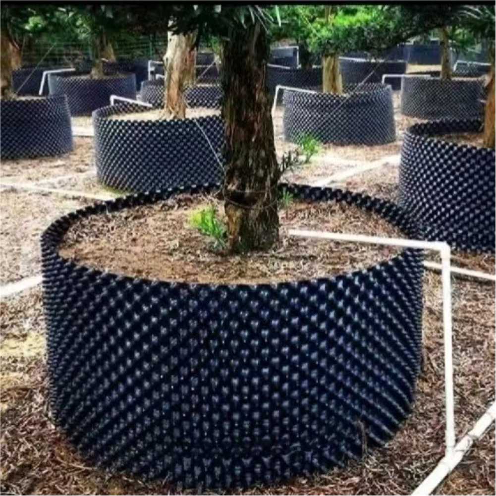 Grow Container Garden Tree Bon - đánh giá và giá Nursery