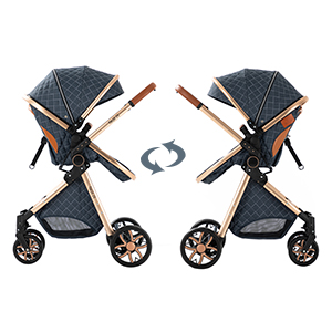 2-in-1 Baby Stroller Compact L - đánh giá và giá Lightweight Foldable Baby Stroller Compact